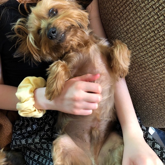 Meet your Posher, Joshua - Picture 1 of 1